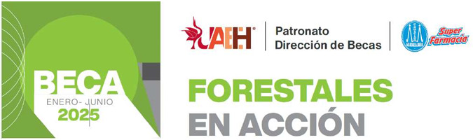 Forestry in Action 2025