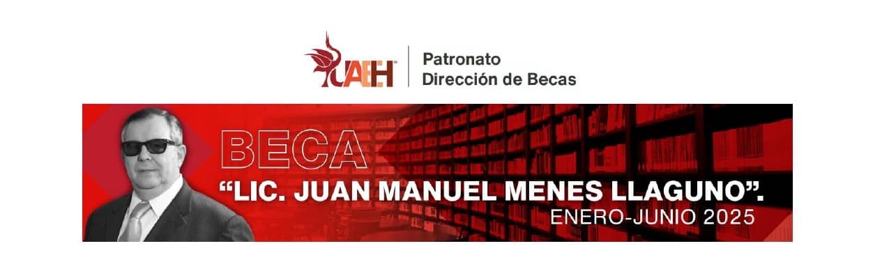Juan Manuel Menes Llaguno Scholarship period January - June 2025