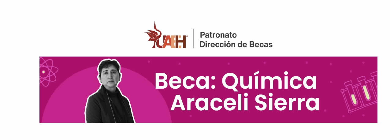 Results of the Araceli Sierra Chemistry Scholarship period January - June 2025