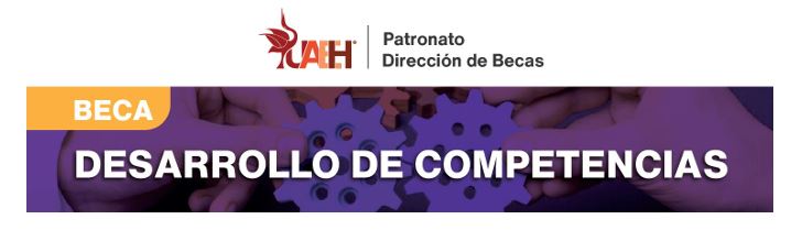 Results of the Competency Development Grant February-June 2025