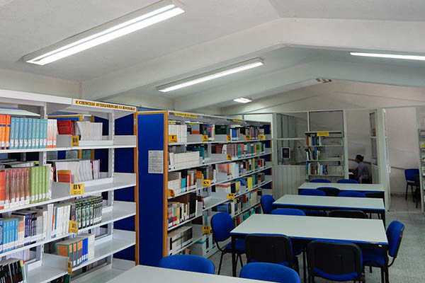 Library