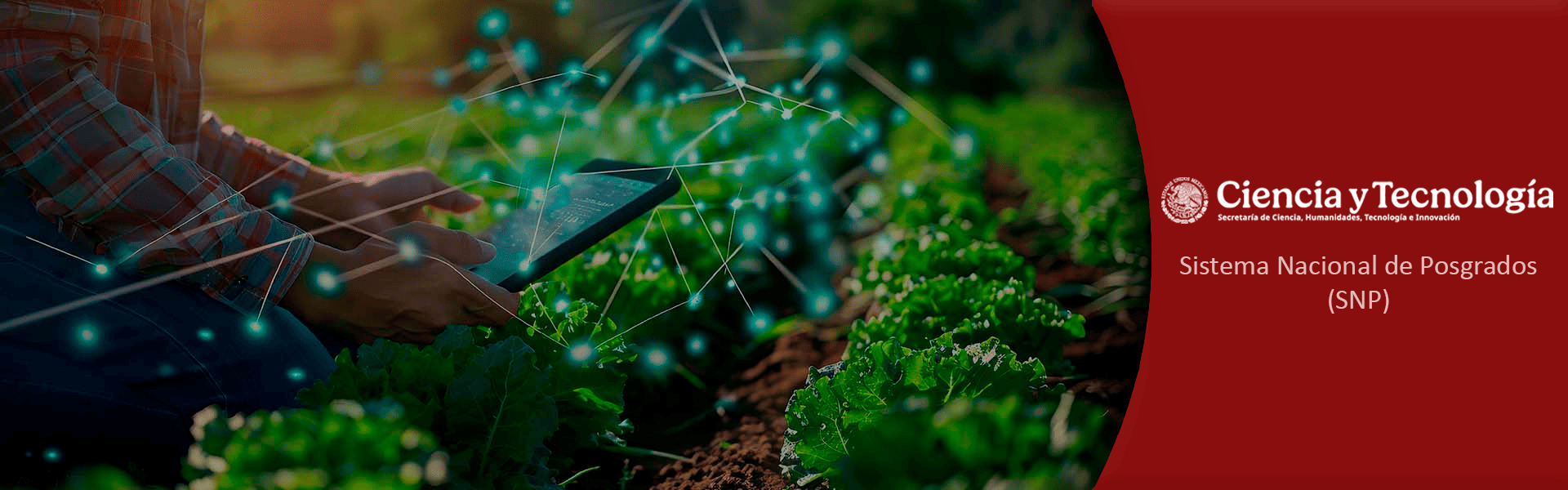 Masters Degree in Sustainable Agricultural and Forestry Science and  Technology