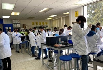 Laboratory internships