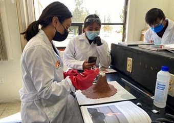 Laboratory internships
