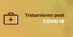 sección 11
