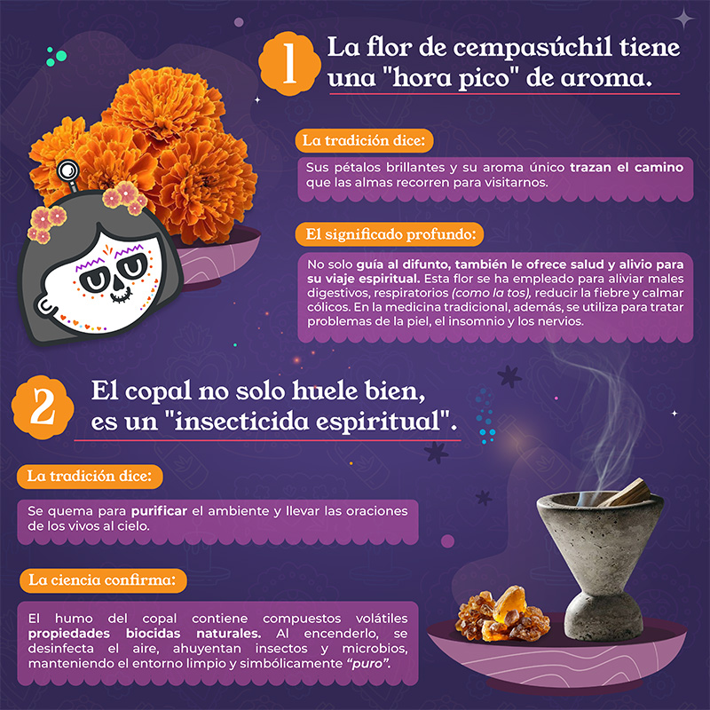 Curioseando: Día de Muertos 2