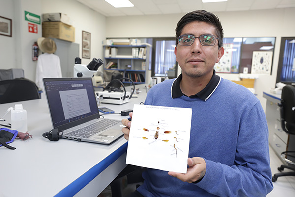 Cucarachas: uno de los organismos más adaptables del planeta 2