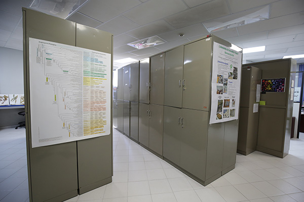 Herbarios, guardianes de la biodiversidad vegetal 12