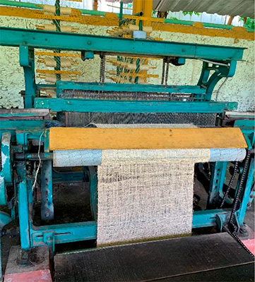 Henequén: fibra, historia y futuro sustentable para México 3-1