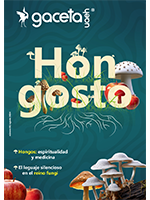 cover 10