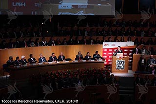 Imagen de informe 14