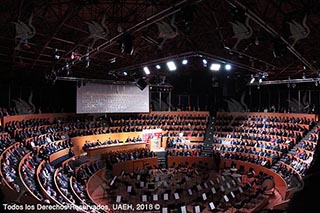 Imagen de informe 8