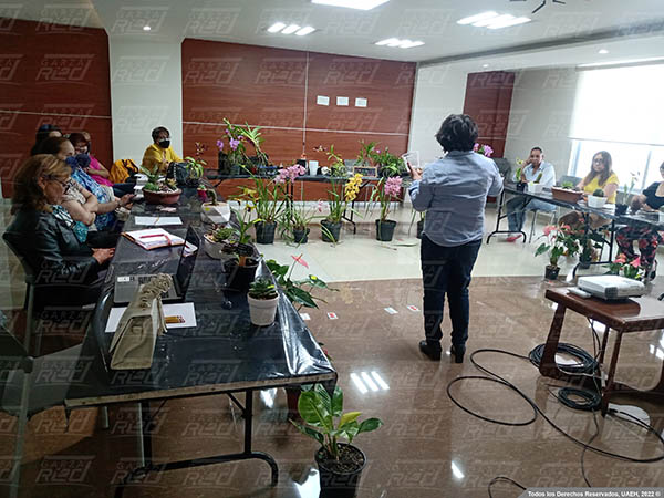 Curso sobre el cuidado de Orquídeas