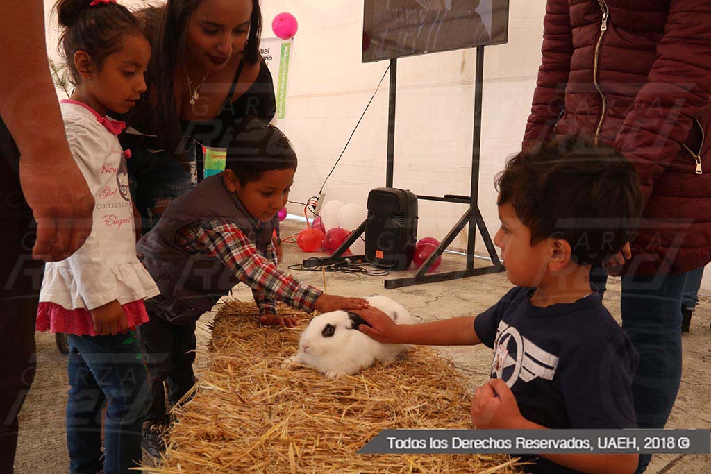 Mi niñez...infancia y diversión