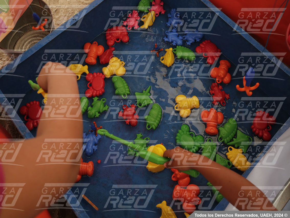 Niñez Universitaria