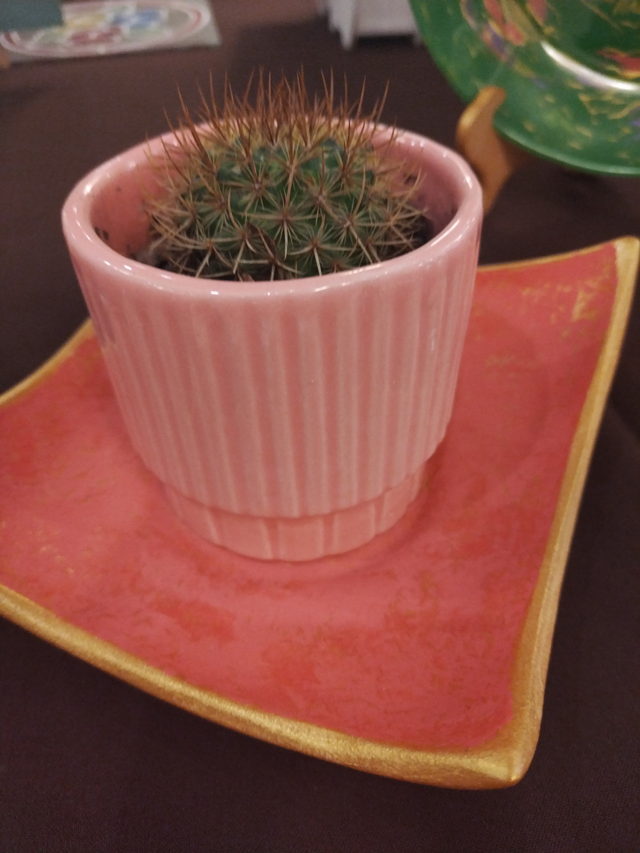 Curso sobre el cuidado de Orquídeas