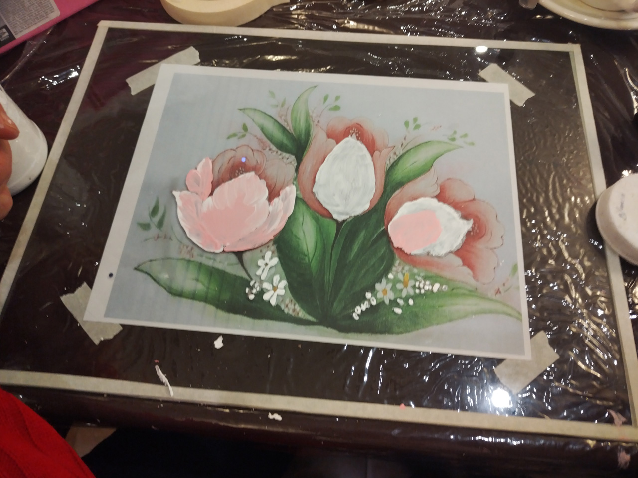 Curso sobre el cuidado de Orquídeas