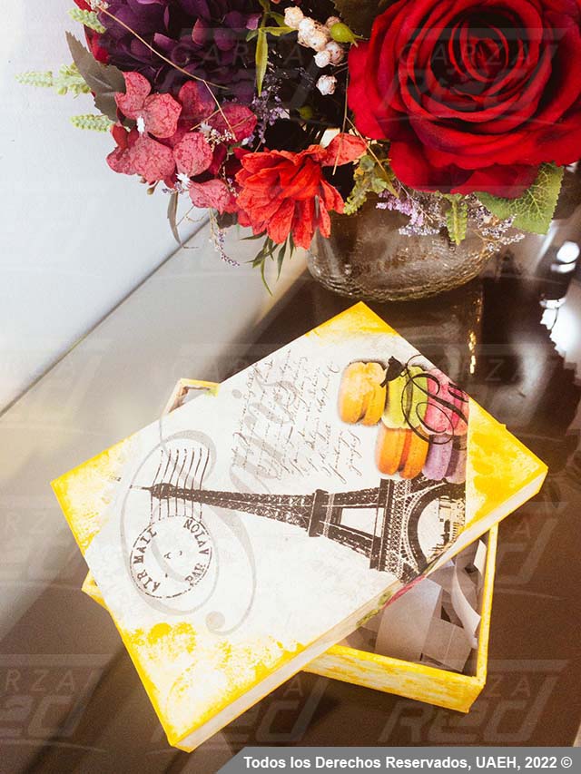 Curso de Pintura y servilleta alemana