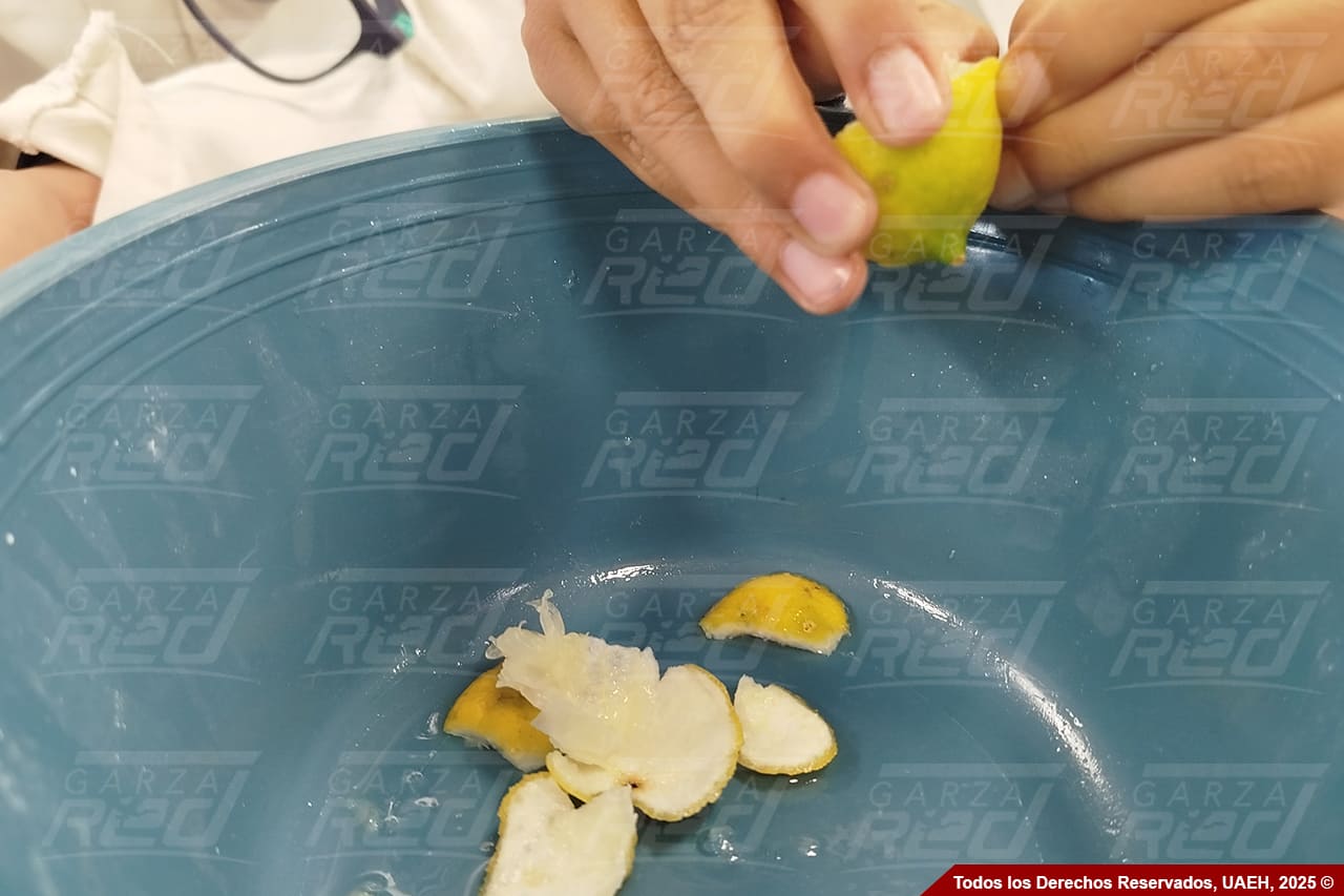 Taller de química para niños